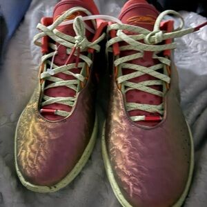 NEW Nike LeBron 21 Queen Conch basketball shoes